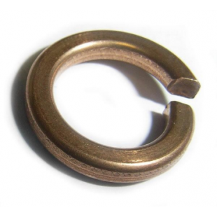 M6 Phosphor Bronze Spring Washer